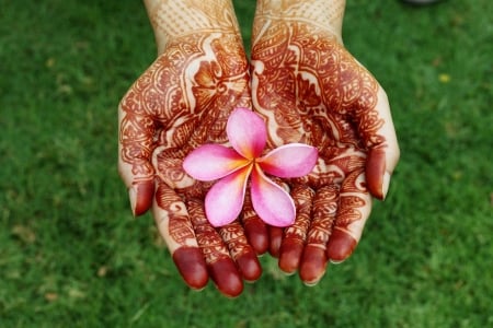 Plumeria - tattoo, plumeria, grass, flower, pink, hand, red, green, woman