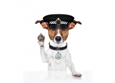 Stop! - hat, police, dog, creative, black, white, animal, paw, funny, caine, puppy, jack russell terrier, card