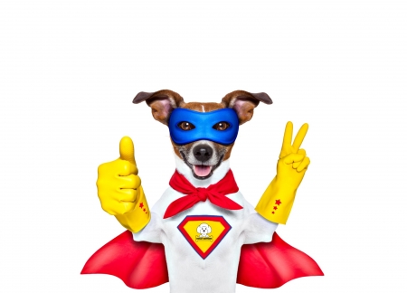 SuperDog - superdog, yellow, blue, dog, creative, fantasy, white, animal, mask, funny, red, caine, puppy, jack russell terrier, card, gloves