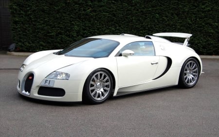 2009 Bugatti Veyron F1 - f1, car, 2009, veyron, bugatti