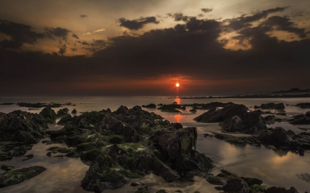 Sunset - Sunset, nature, tree, rocks