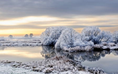 Winter - snow, Winter, nature, tree