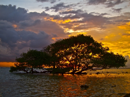 Amazing Sunset - sky, lake, landscape, clouds, water, colors, tree