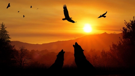 wolfs - birds, nature, sundown, wolfs, mountains