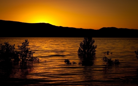 Sunset Over the Mountain - landscape, trees, sunset, sea, nature, mountain