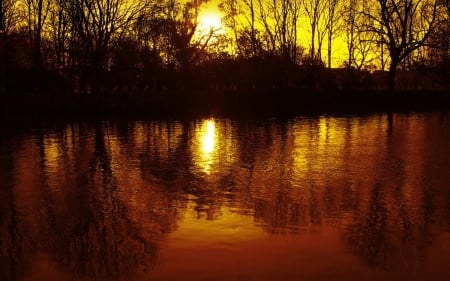 Lake Sunset - lake, forest, reflection, trees, sunset, nature