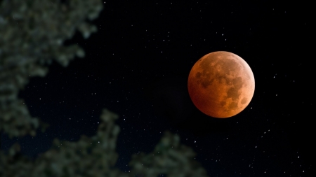 Lunar Eclipse - moon, star, lunar, sky