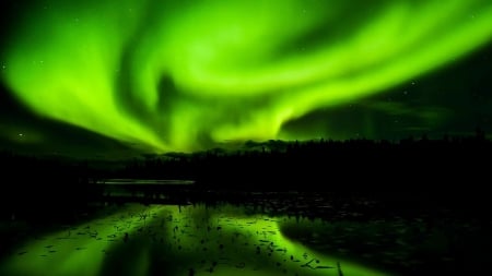 Aurora borealis - aurora, nature, green, sky