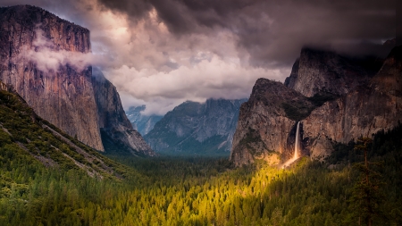 Yosemite National Park - nature, yosemite, forest, jungle, tree