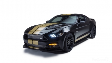 2016 Ford Shelby Hertz GT-H - ford, gold stripes, 2016, black