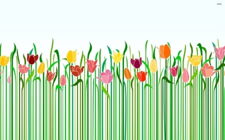 colorful tulips on the field - colorful, tulips, on, field, the