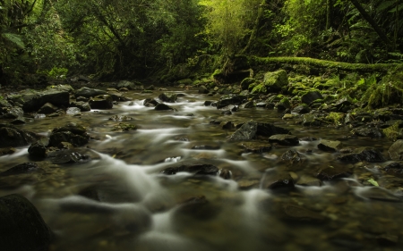 River - stream, nature, tree, river