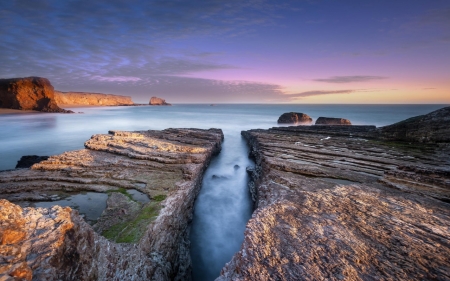 ocean - nature, rock, ocean, tree