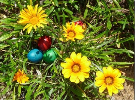 Happy Easter - eggs, blossoms, colors, garden