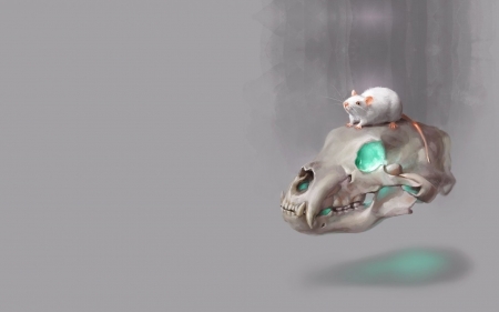 Skull and mouse - skull, magical, eye, fantasy, white, art, rodent, grey, green, animal, mouse