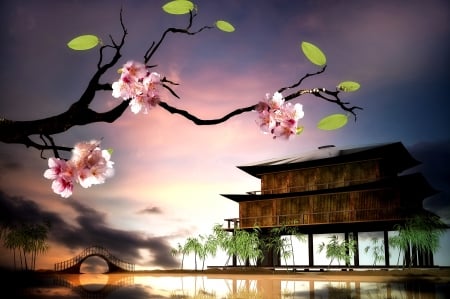 Cherry Blossom - Cherry, Blossom, Japan, House