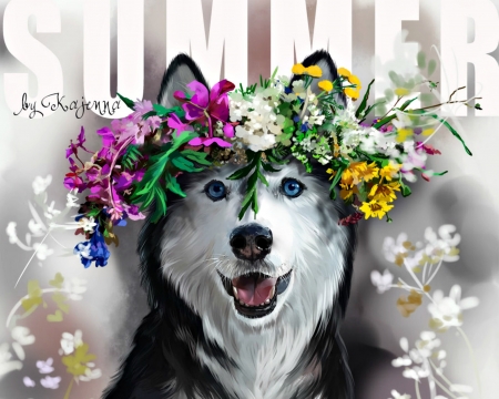 Summer - summer, flower, animal, pink, black, lorri kajenna, art, white, husky, dog