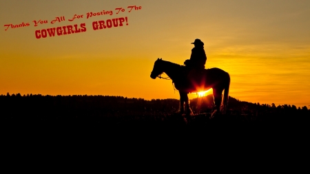 Thanks For Posting... - thanks, horse, cowboy, sign, sunset