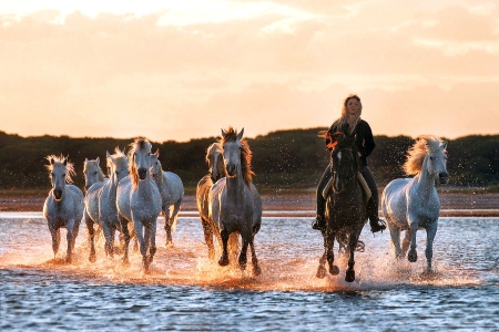 Herding Horses.. - style, girls, western, women, models, hats, cowgirls, horses, river, fun, female, blondes