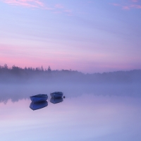 Fog on the lake