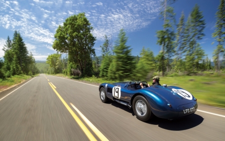 Jaguar - 1951, wheel, car, jaguar