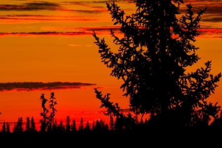 Sunset above Peace River, Fort Vermilion, Alberta - canada, sky, trees, color