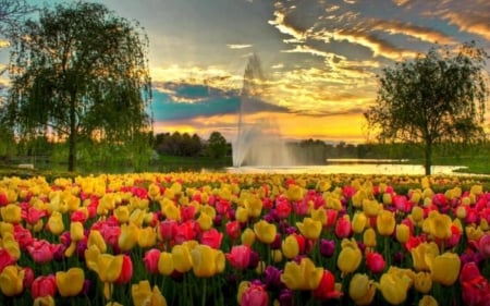 True Nature - flowers, clouds, tulips, trees, nature, fountain, lake, field