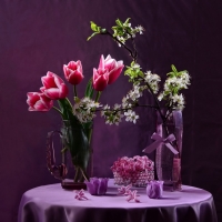 Spring flowers in purple background