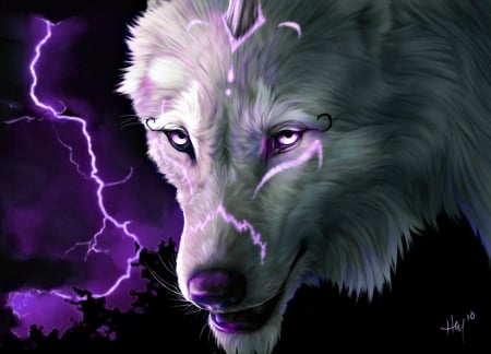 Thunderbolt - amethyst eyes, wolf, lumninbos, black, lup, fantasy, white, animal, purple, thunderbolt, art, novawuff