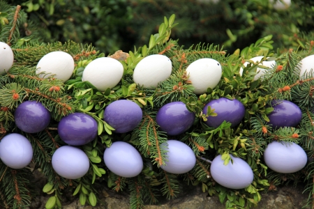 Happy Easter! - easter, white, purple, green, fir, egg, card, pink