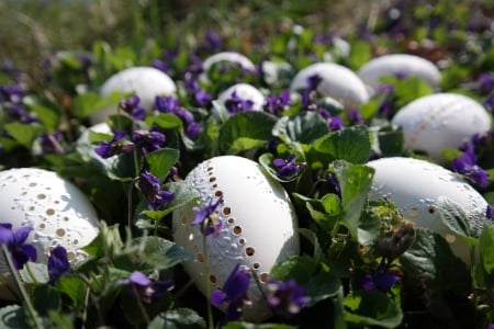 Happy Easter! - spring, flower, easter, white, purple, green, violet, egg, card