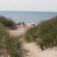 Dunes in Denmark