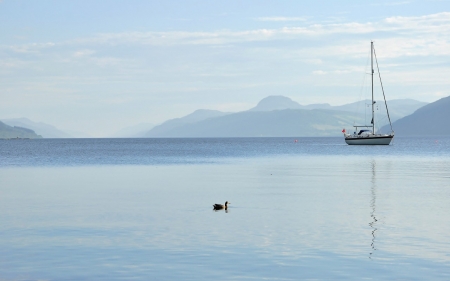 Ocean - nature, water, lake, ocean