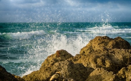 Waves - Waves, nature, tree, rocks