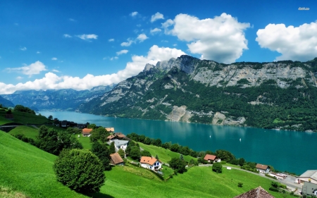 small village facing the riverside - village, mountain, river, tree, grass