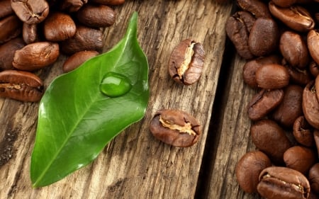 coffee beans - board, leaf, beans, coffee