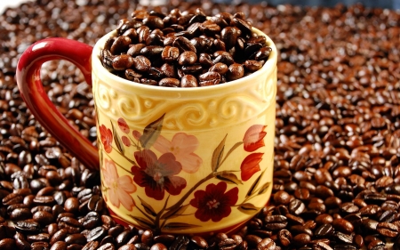 cup of coffee beans