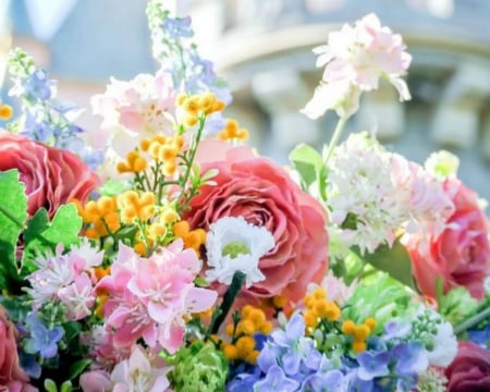 Beautiful Flowers - flowers, petals, bloom, colorful