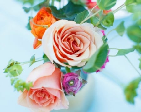 Beautiful Flowers - flowers, roses, petals, bloom