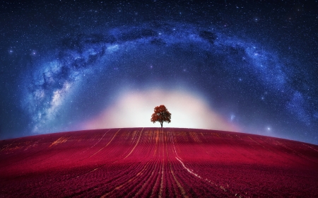 the Tree - sky, milky way, stars, landscape, field, fantasy, blue, luminos, red, tree, cosmos