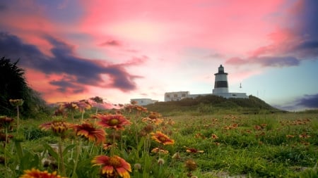 Sunset Point - hill, sky, building, lighthouse, sunset, summer, spring, flowers, sunrise, point