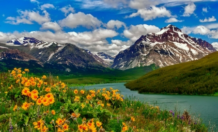 Nature - river, lake, flower, Nature