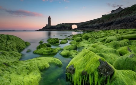 Lighthouse - moss, rock, Lighthouse, sky