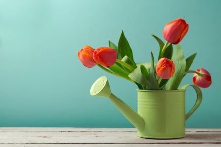 Happy spring! - blue, red, green, spring, orange, card, flower, tulip