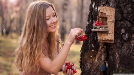 feeding girl - girl, berries, feeding, tree