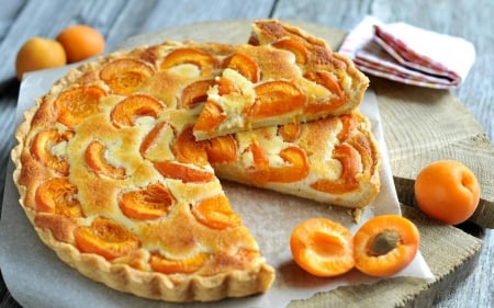 apricot tart - fun, entertainment, yummy, cool, tart, food