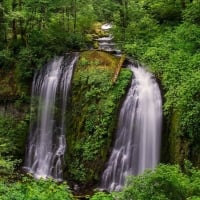 forest waterfall