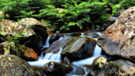 Forest Waterfall - tree, forest, nature, water