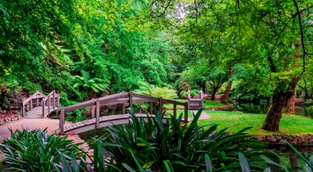 Green park - greenery, pretty, trees, pond, beautiful, lovely, green, bridge, park