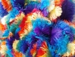 Colorful feathers